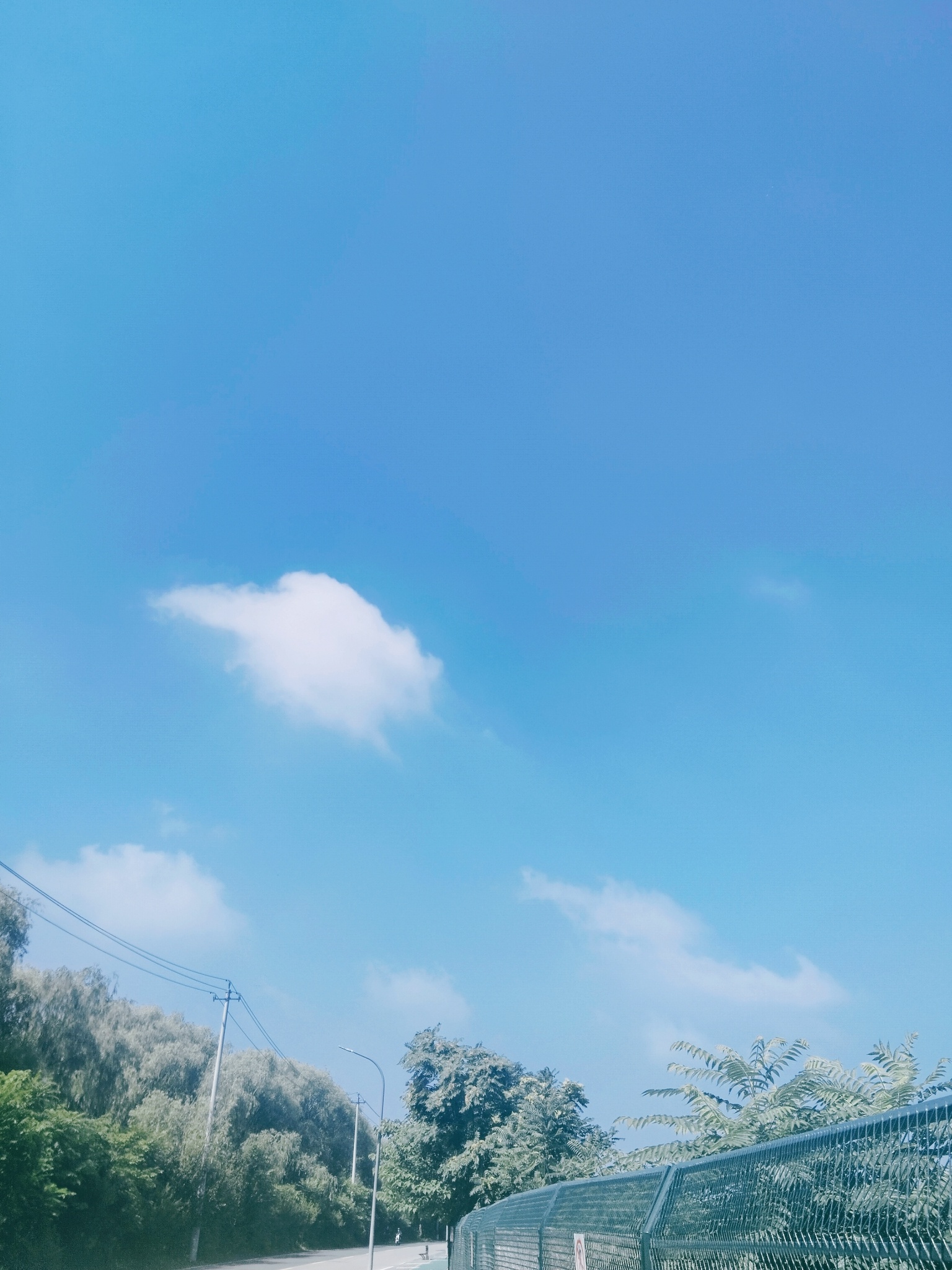飘逸的云。 无边无际的天，飘逸游弋的云……花花草草 沐月记  绿洲