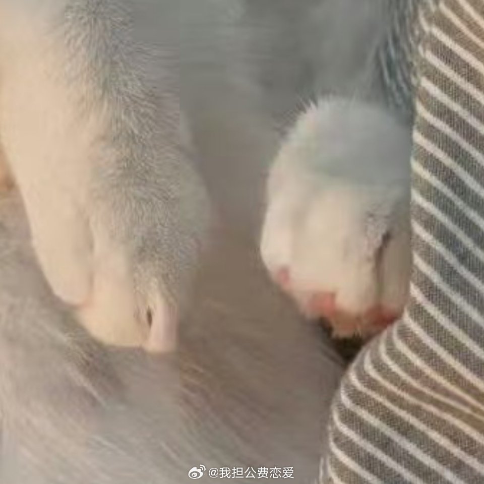 嗦嗦嗦吸吸吸吸 