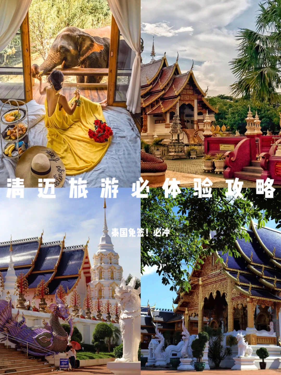 泰国免签🇹🇭清迈自由行必体验！