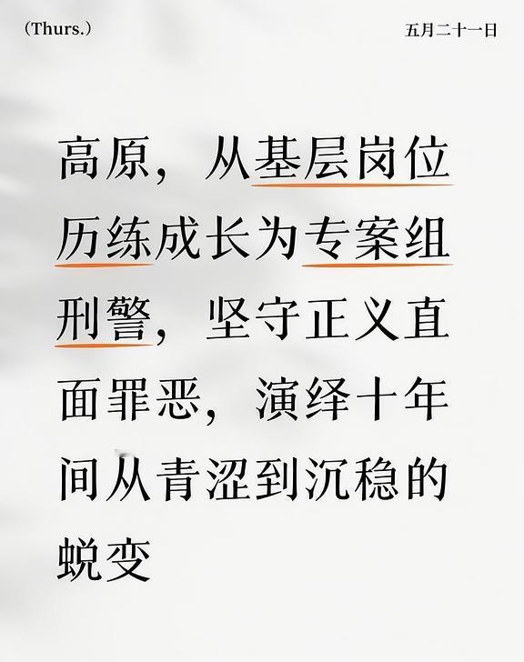 高原，从基层岗位历练成长为专案组刑警，坚守正义直面罪恶，演绎十年间从青涩到沉稳的