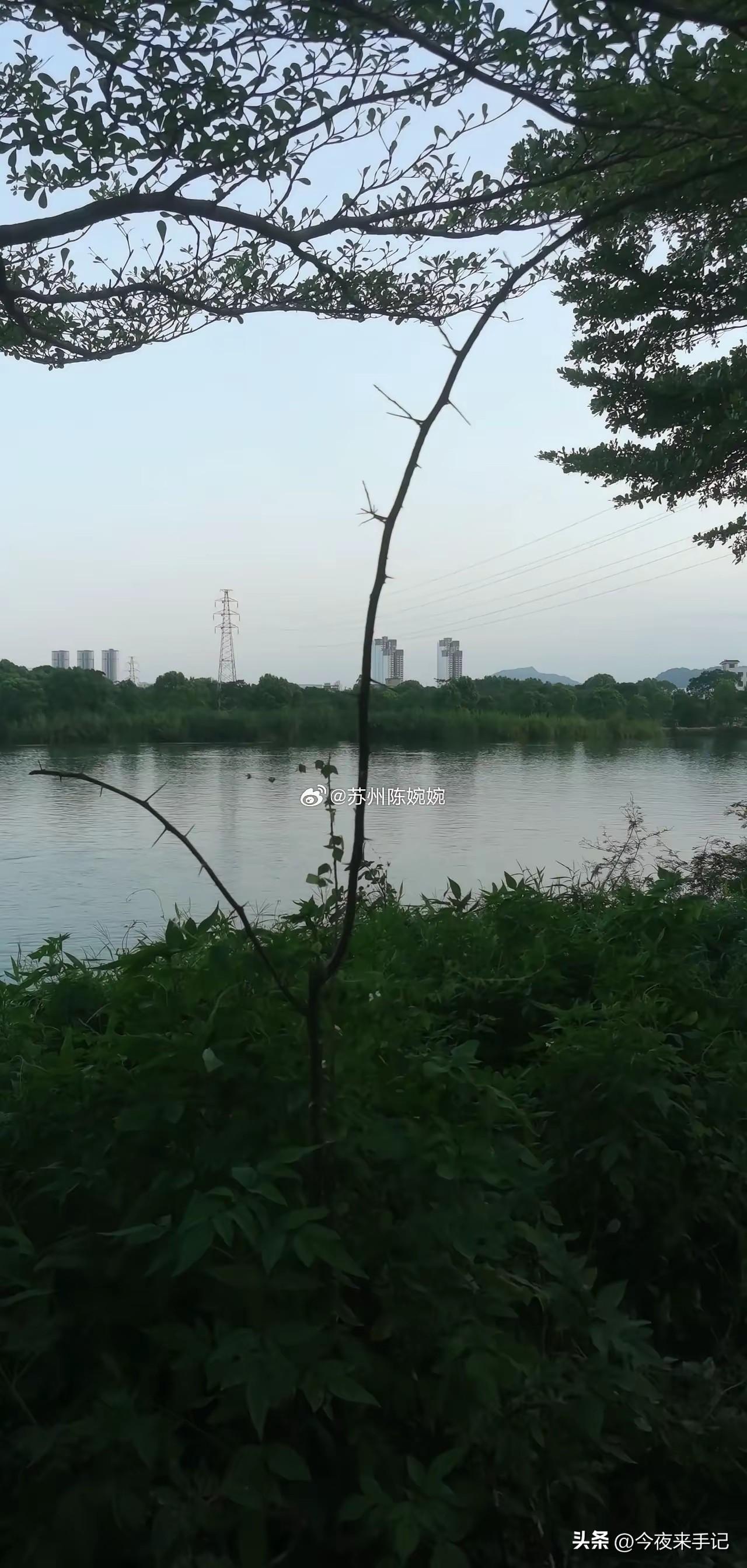 8月养老金最新消息，退休人员必看。截至8月3日，人社部依旧没有发布2026年养老