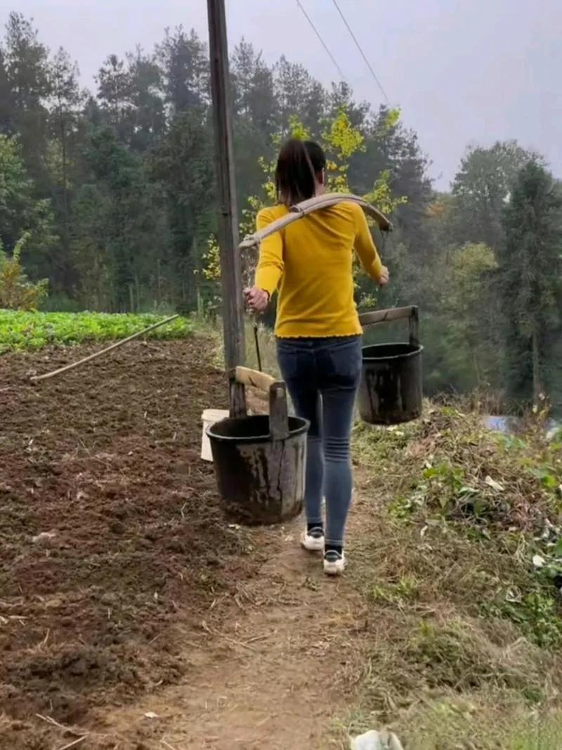 今天真的奉劝几句成家立业的女人，只要你的丈夫，在外面不嫖娼也不找小三，而且也不赌