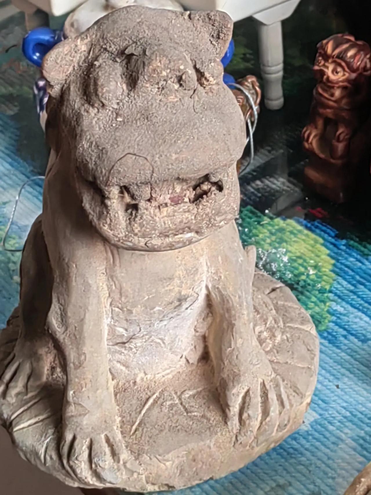 这东西是什么动物？高十七八厘米。[祈祷][祈祷][祈祷]