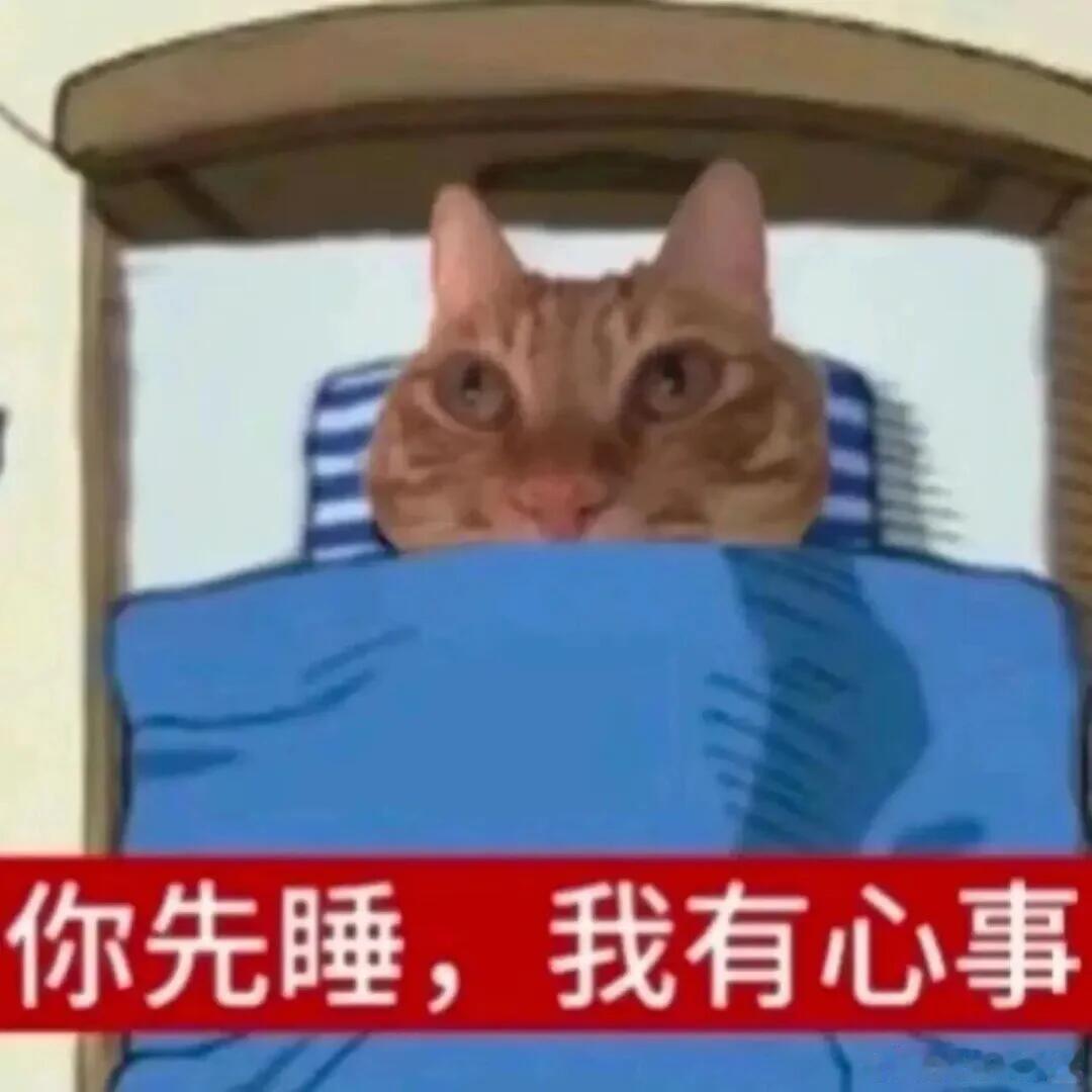 又被我抓住不睡觉是吧