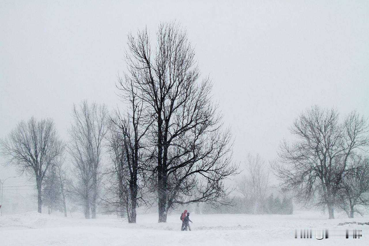 今天八月十八，老话“八月怕十八”，今年冬天要大雪封门吗？
 
今天恰逢农历八月十