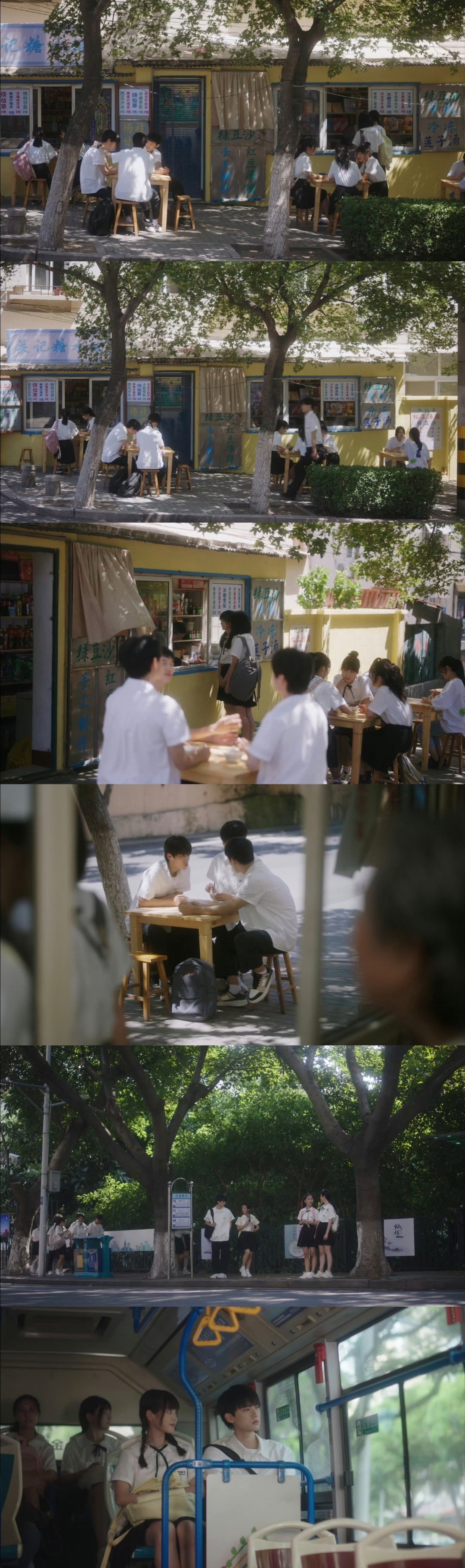 当我飞奔向你导演:猫的树（盘点了一圈忘记发猫叔拍的现偶 