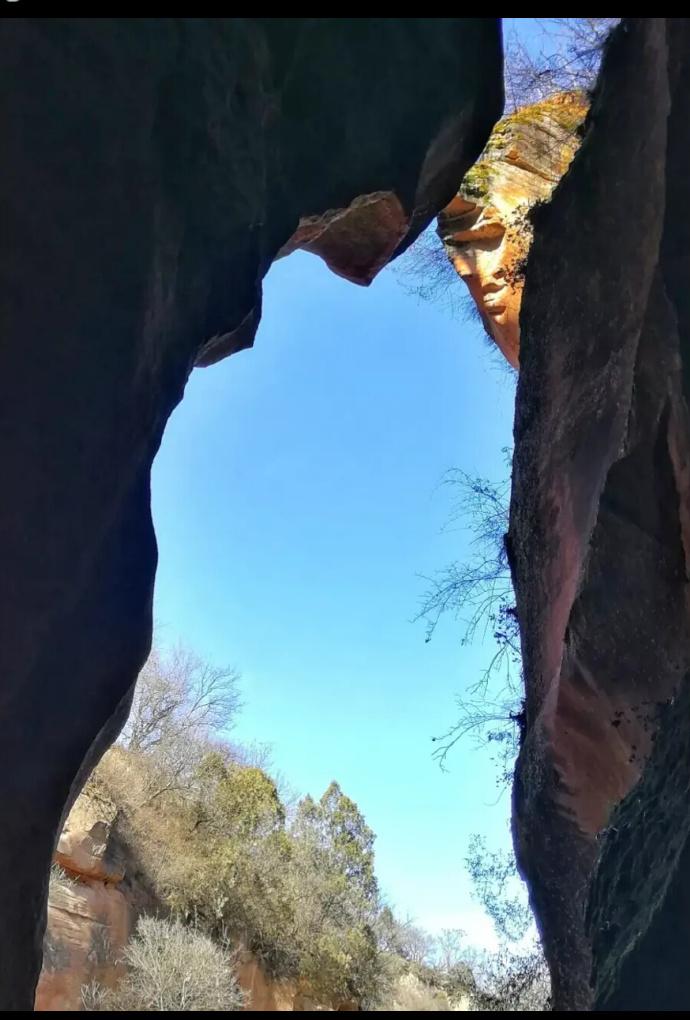 分享手机里的随手拍花花世界无奇不有！这组照片拍摄于陕北甘泉雨岔大峡谷景区。分享给