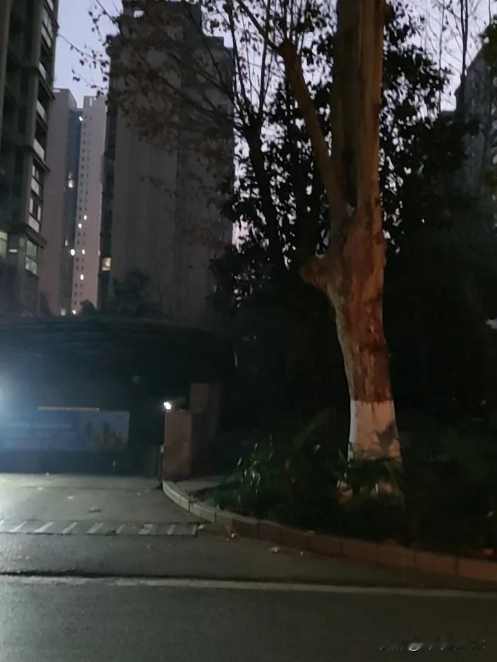 分享一张你在武汉拍的照片吧