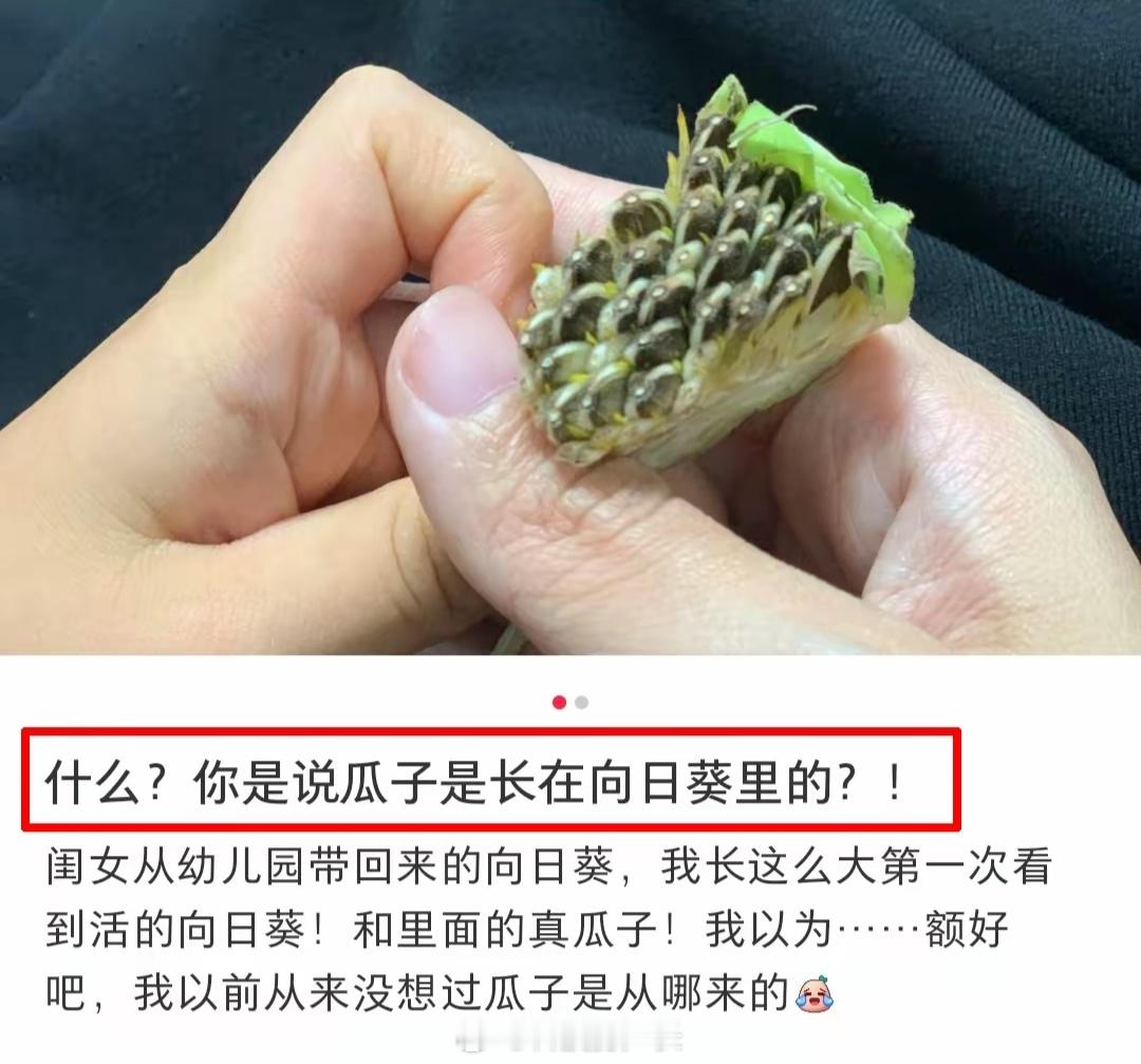 她肯定也不知道毛豆长老了就是黄豆[不愧是你] ​​​
