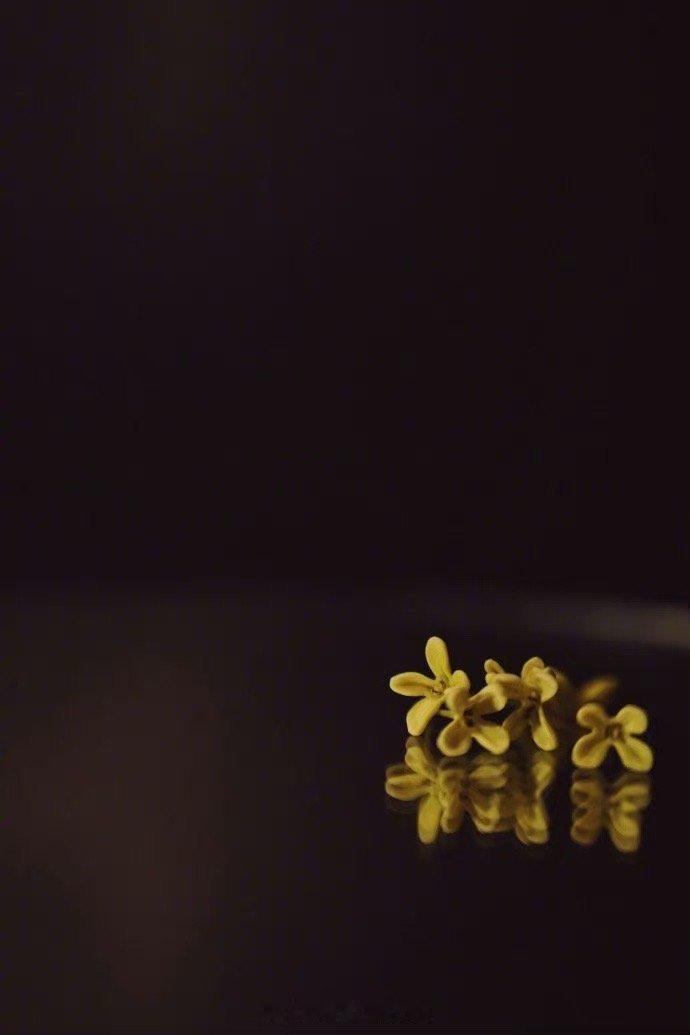 善良是一种世界通用的语言，它可以使盲人“看到”，使聋子“听到”。—— 马克·吐温