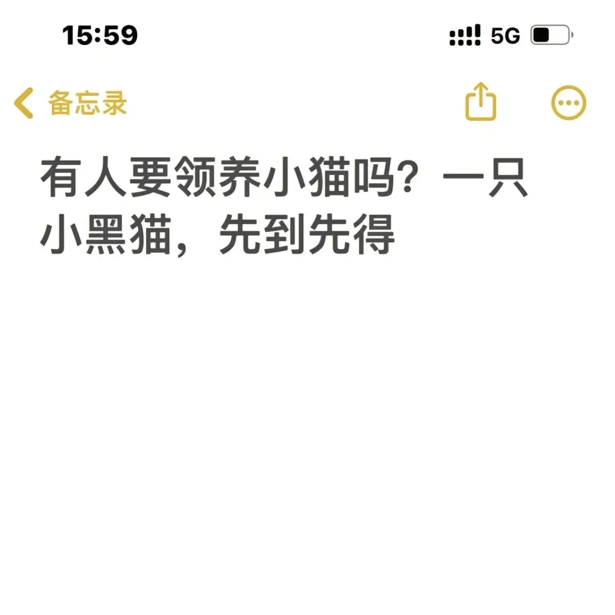 喵～