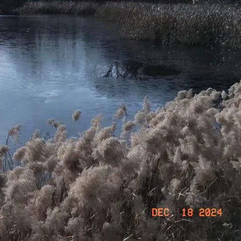 上联:千层高山千层雾
下联:万道流水万道坡