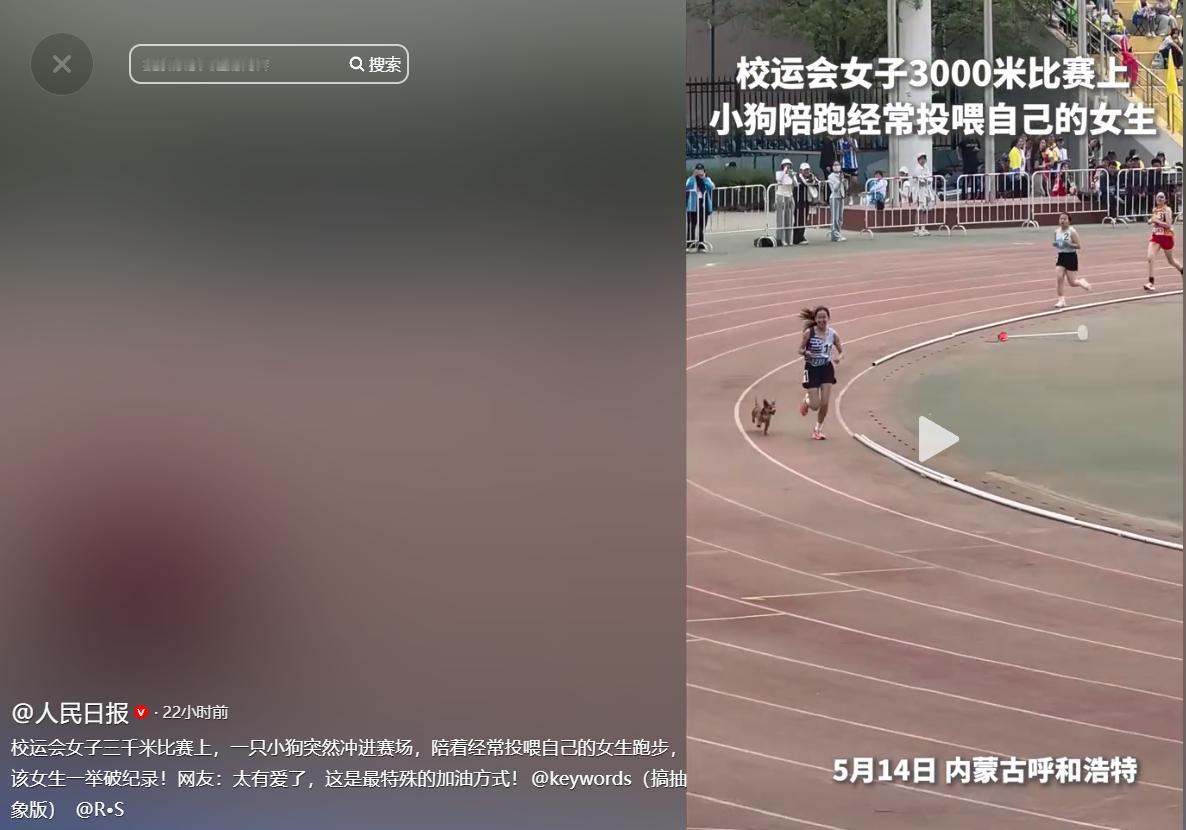 “这只小狗火到人民日报啦！” 5月15号人民日报报道，内蒙古，一名高校女生在校运