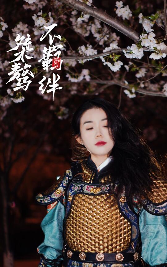 樱花与甲胄