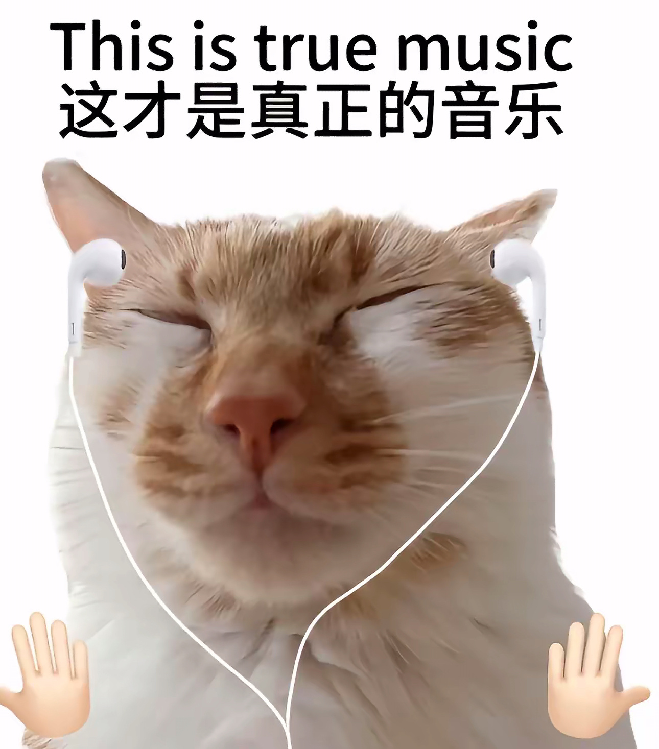 刚刚又去Q音把小猫唱过的歌都听了一遍，闭眼流泪。。。。找回了我时不时恢复的声音粉