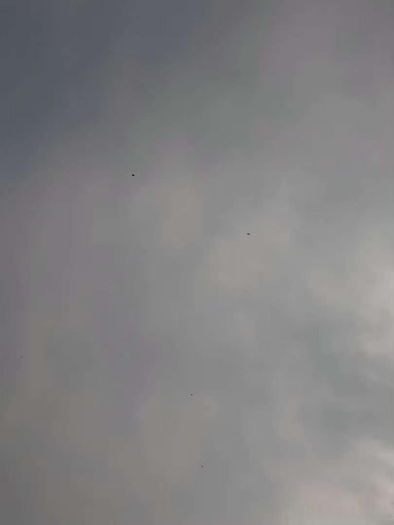 张函瑞陈奕恒陈浚铭陈思罕跳伞张函瑞陈奕恒陈浚铭陈思罕跳伞路透 张函瑞陈奕恒陈浚铭