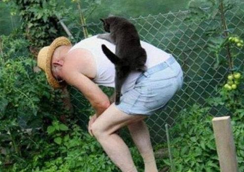 爷爷，你累不累啊~我来帮你！