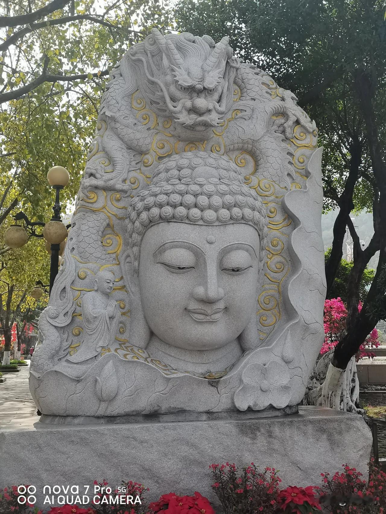 修行如饮水，冷暖自知！
当你在娑婆世界，
证悟到苦和无常的空性后，
虽然生活上区