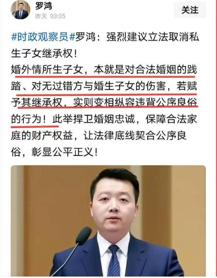 专家罗鸿提了个建议，直接捅了马蜂窝！罗鸿：“强烈建议取消私生子女的继承权！搞婚外