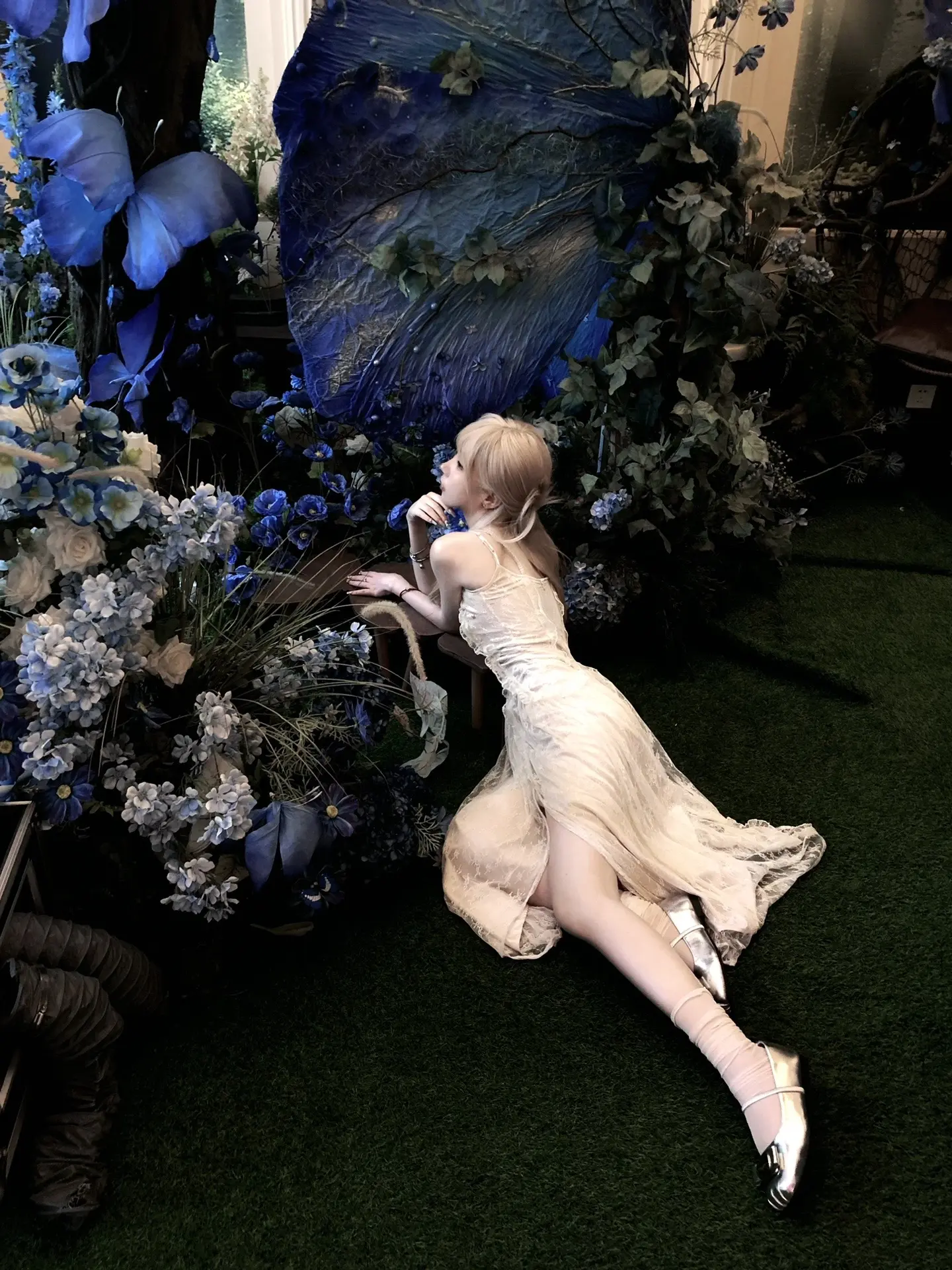 可这世间本就没有什么常青树。