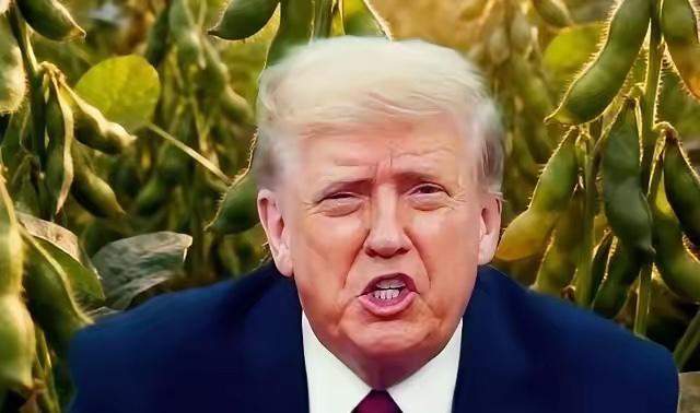 特朗普曾说，你们中国把大豆玩成花：做豆腐，豆腐脑，豆浆，豆皮，豆油，豆奶，豆腐乳