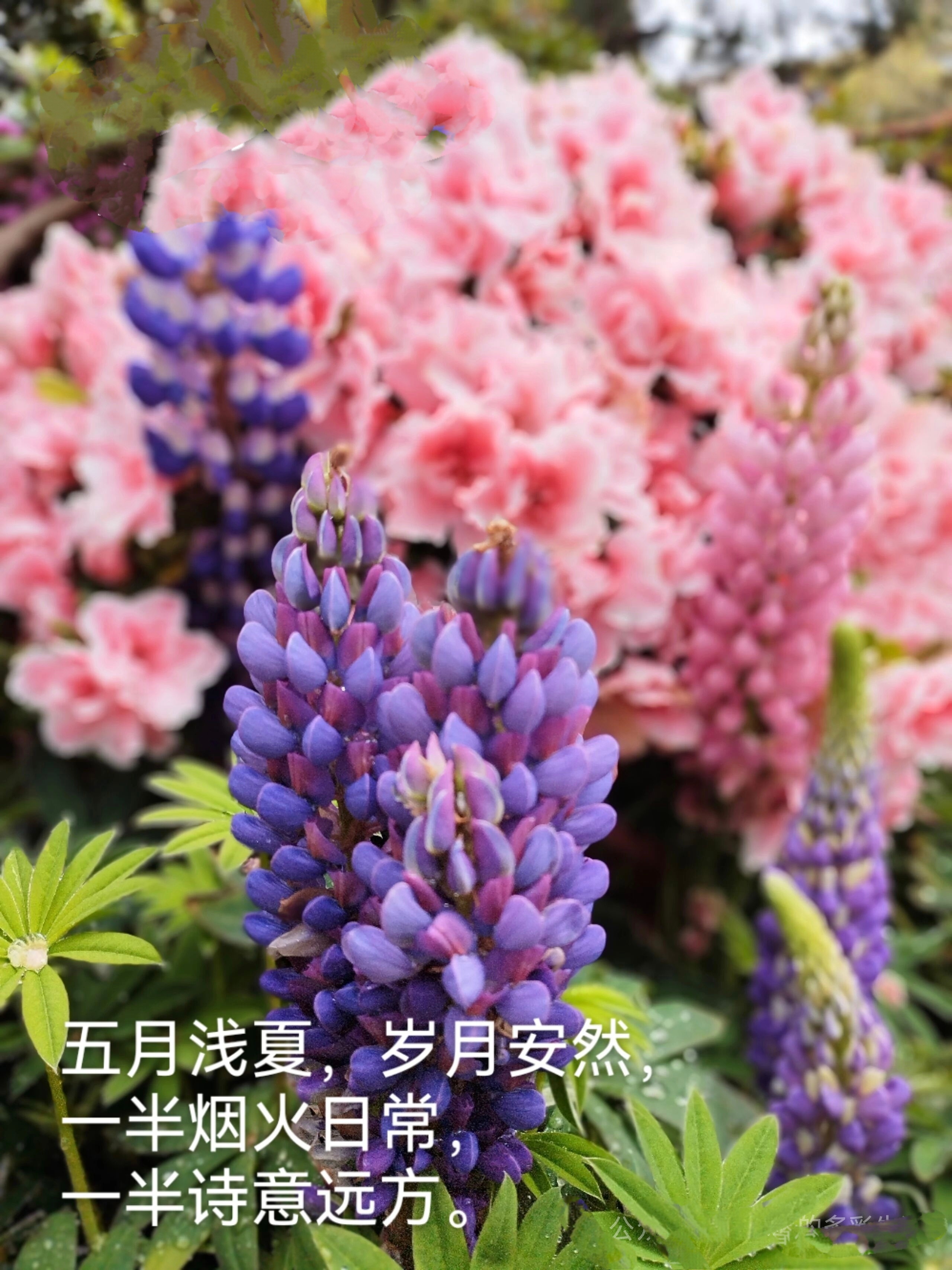 【今晚油价下调，刷新年内最大降幅】国家发展改革委消息，今日（7月3日）24时国内