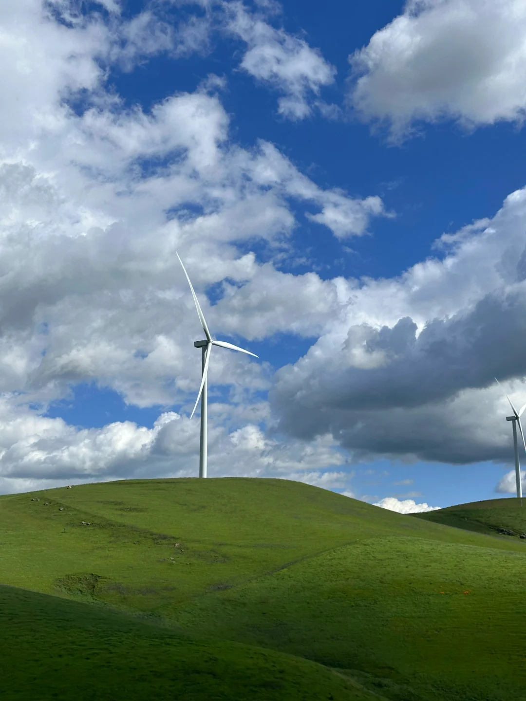 🇺🇸｜请交出你买到的便宜好睡床垫🙏谢！
