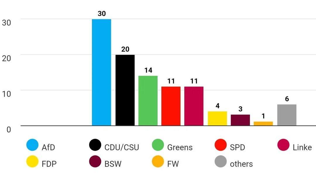 根据民调机构 GMS 的数据显示，德国选择党（AfD）在全德民意调查中的支持率首
