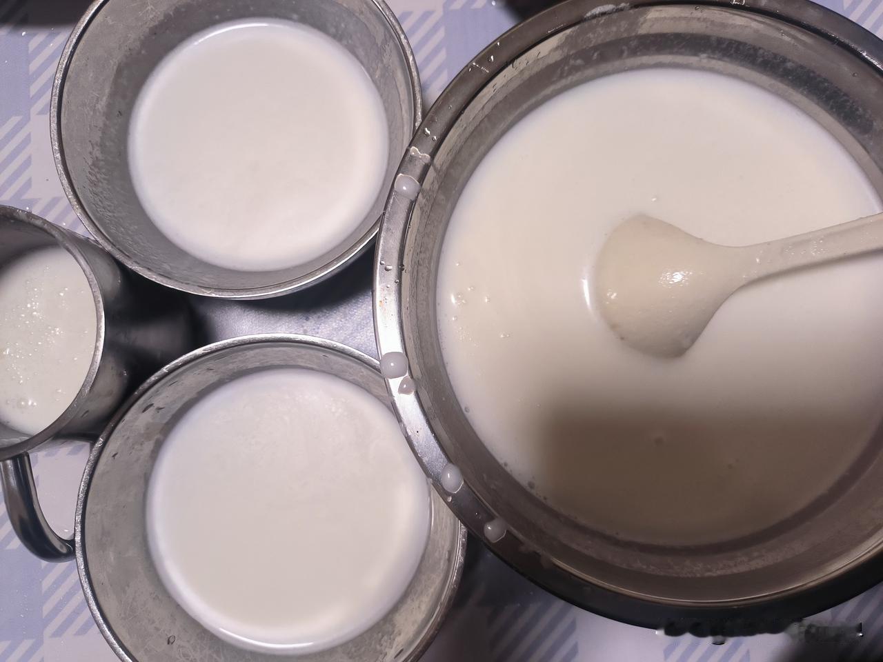 喝完椰子水，不要把椰肉丢了，可以自己打汁做成椰奶。
买了1个椰子，没喝几口椰子水