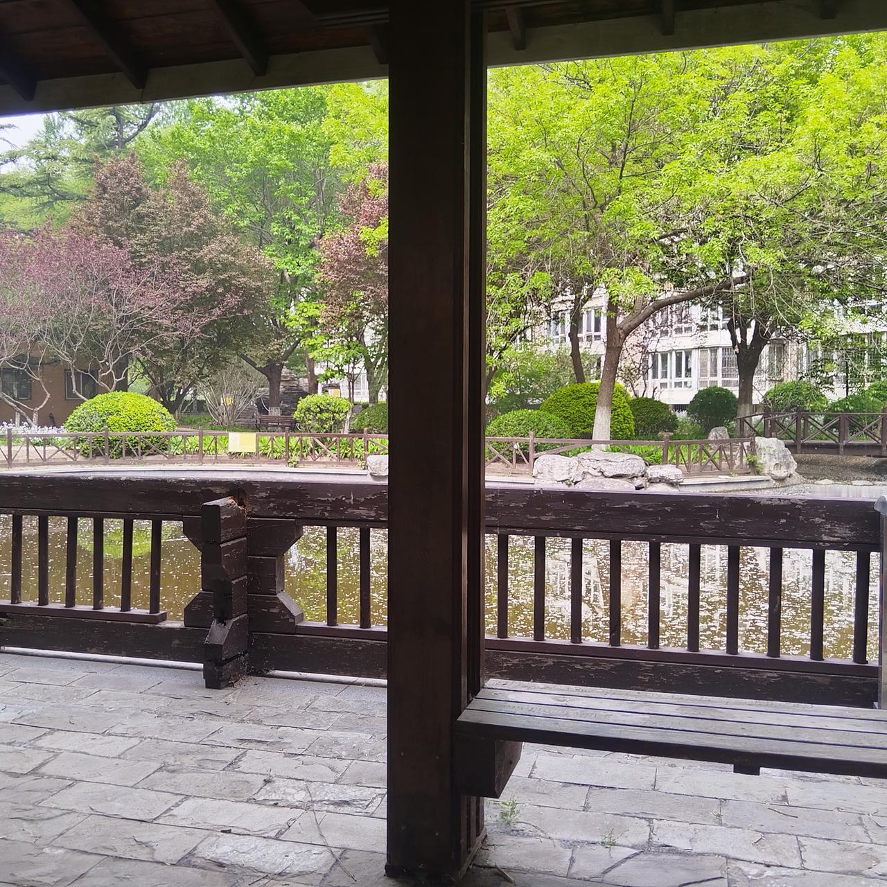 又到了杨絮柳絮飞舞的季节。