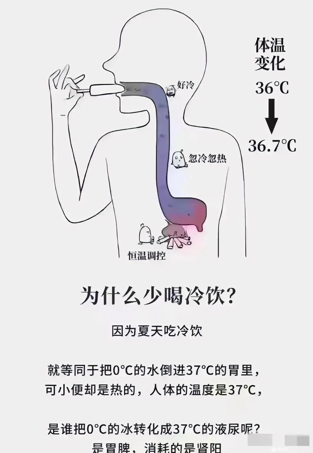 那我喝45度的奶茶，尿出来的还是37度，热量给谁了？补肾阳了？
#养生#