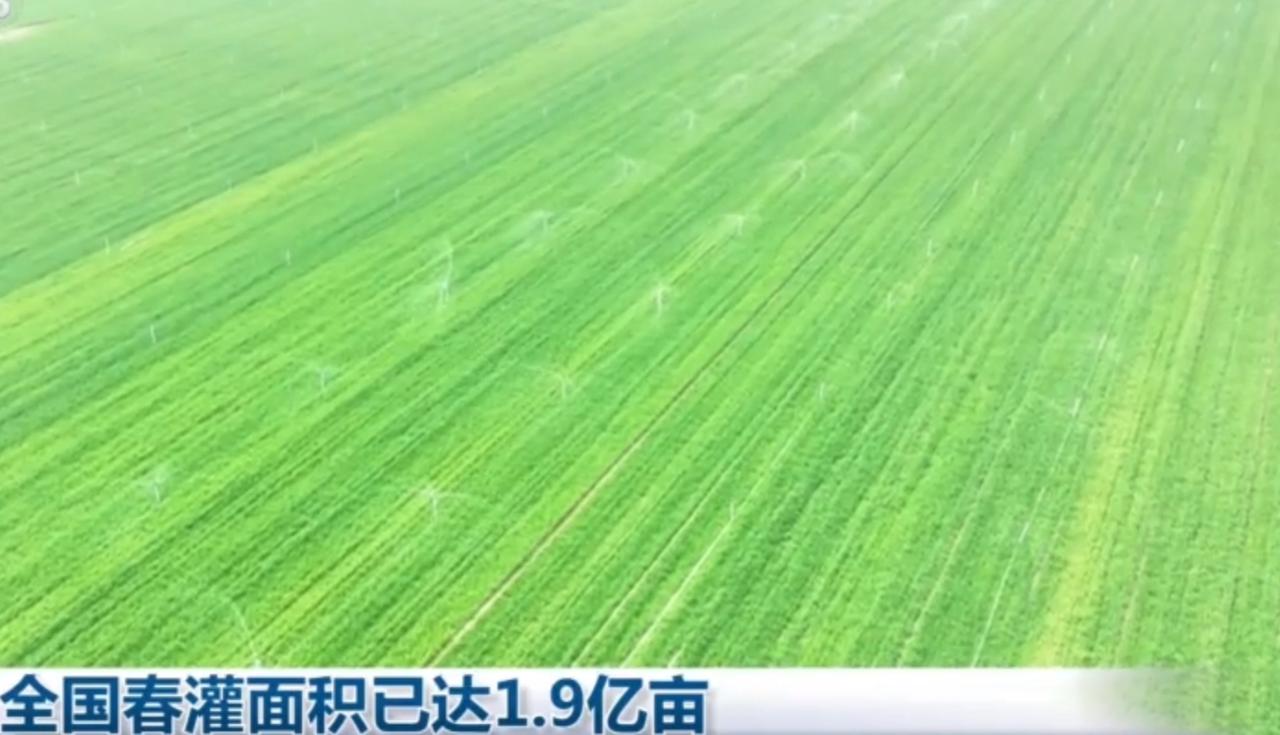 春风暖大地，春耕正当时。全国春灌有序推进，灌溉面积已达1.9亿亩。水利枢纽开闸放