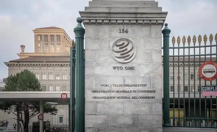 WTO 最新数据震撼全球，2025 年中国大陆商品出口额达 3.78 万亿美元，