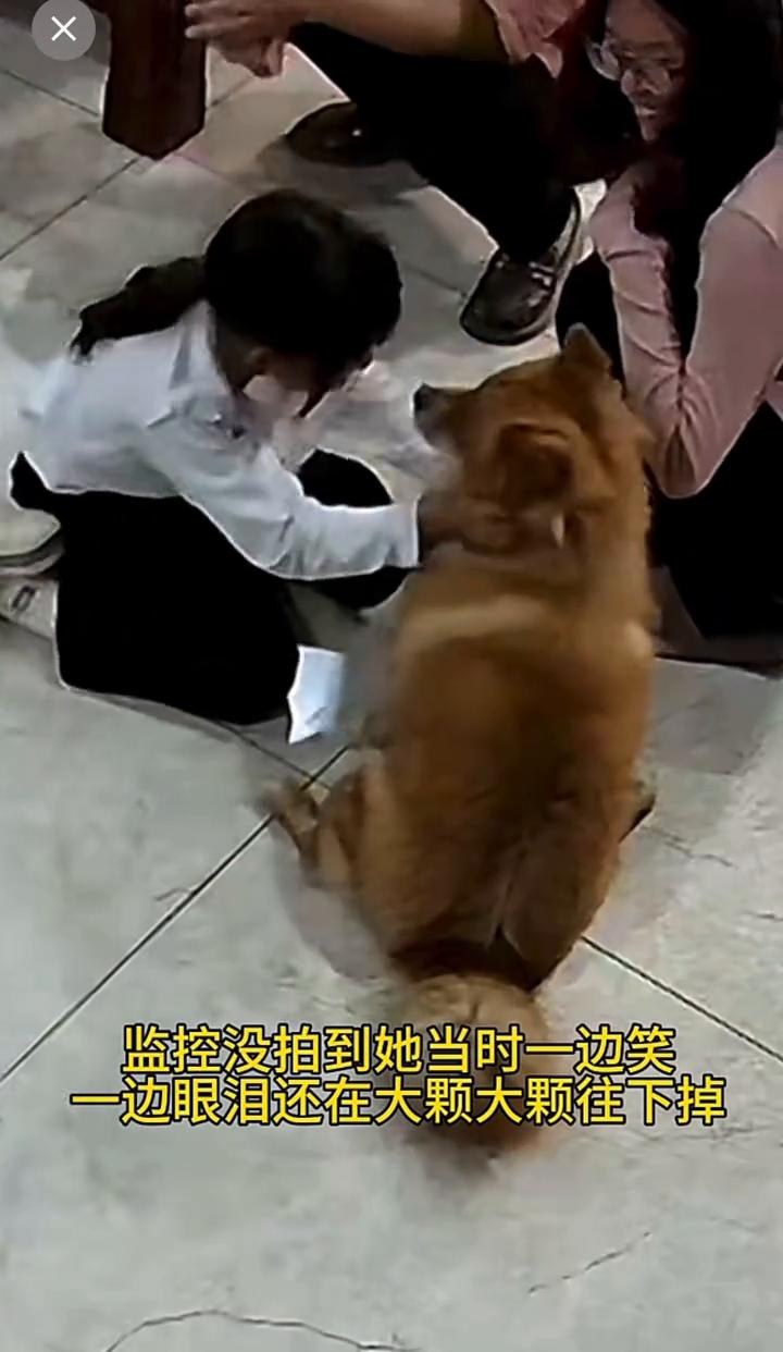 妹妹听见说财财在，就抬起头瞄了一眼，发现是真的在，马上破涕为笑。监控没拍到她当时