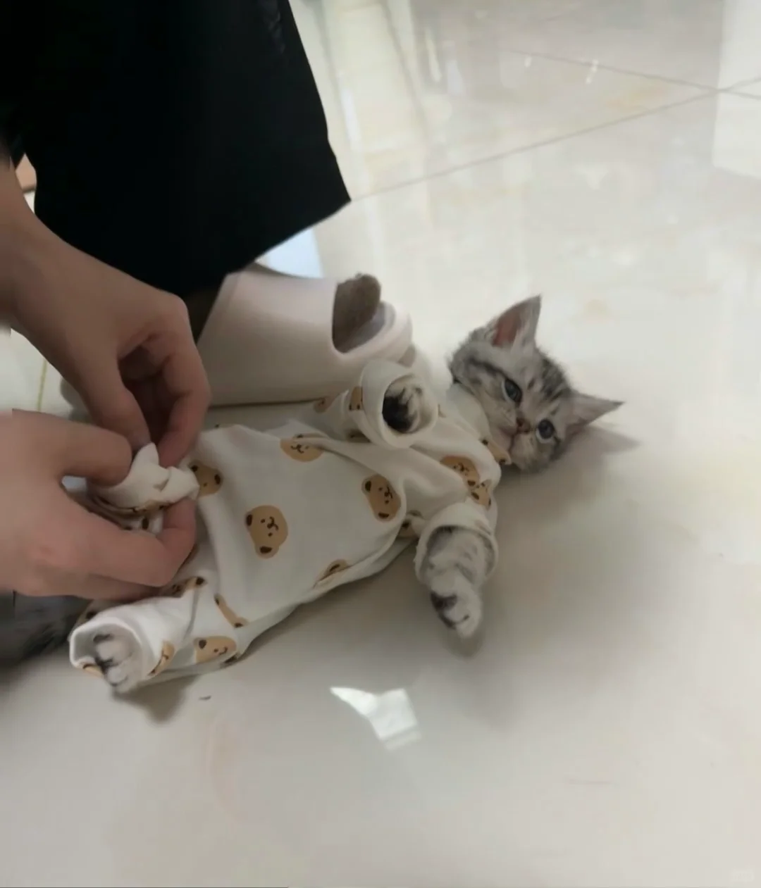 发热门诊量300