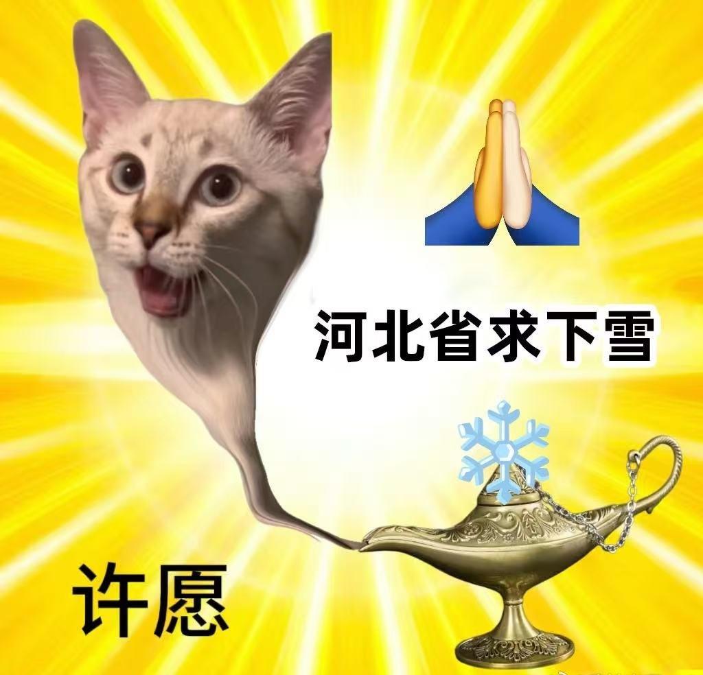 第一条围巾戴了好些天，暖得让人快忘了冬天该有的冷，也更盼初雪空降。等雪落下，不管