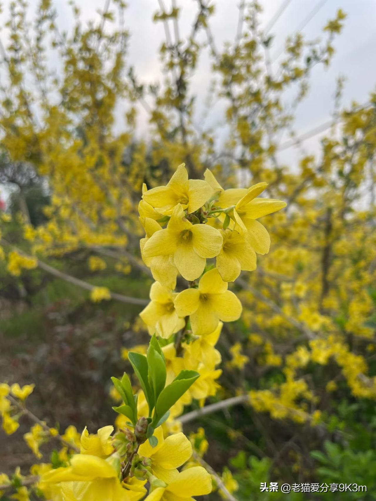 找婆婆得看类型
 
今天刷到个博主的观点，她说找婆婆，尽量找那种爱美的、描眉画眼