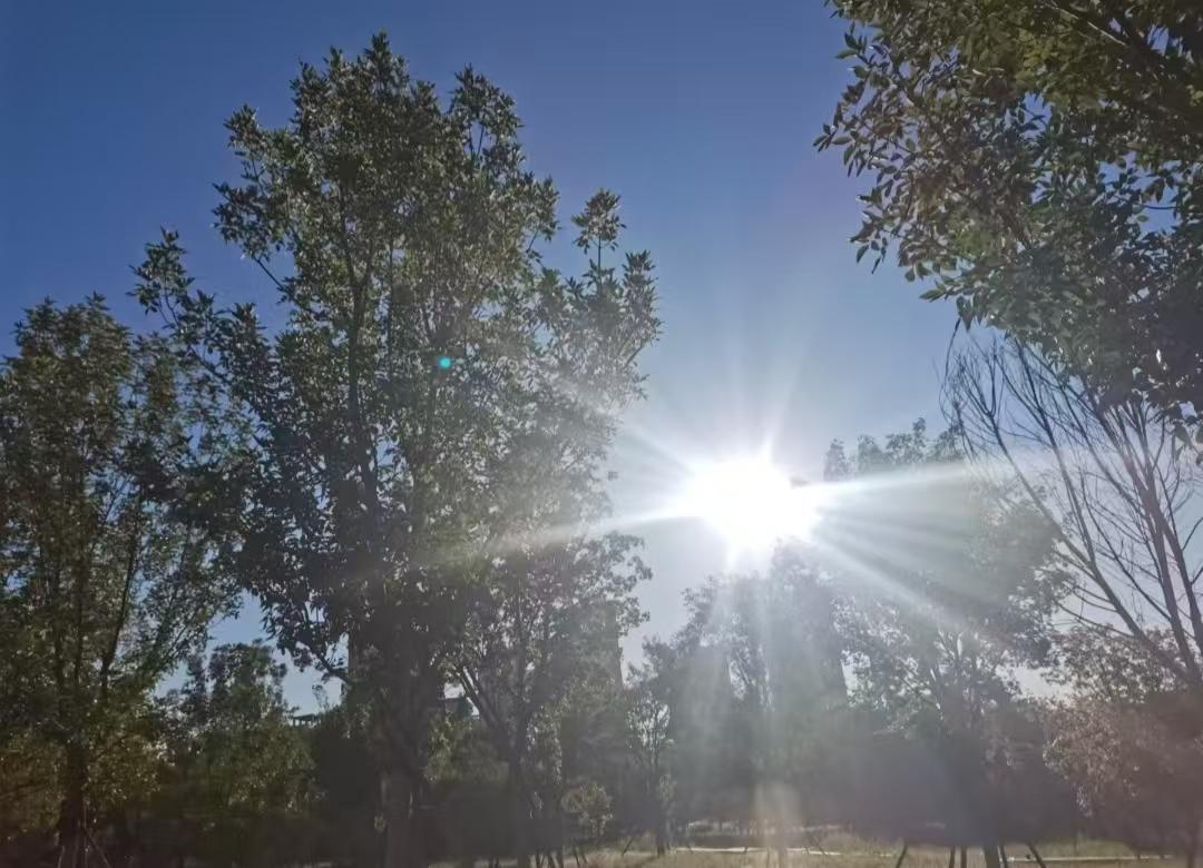 母亲八十岁大寿，那天，妹妹的一个高中同学来家里给母亲祝寿，她不但给母亲封了一个两