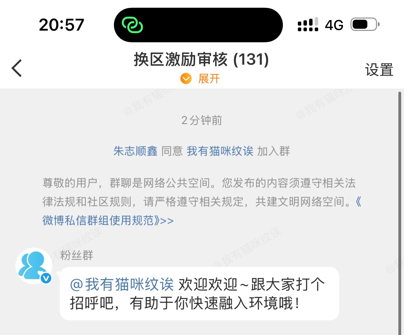 猫猫头我来了 ​​​