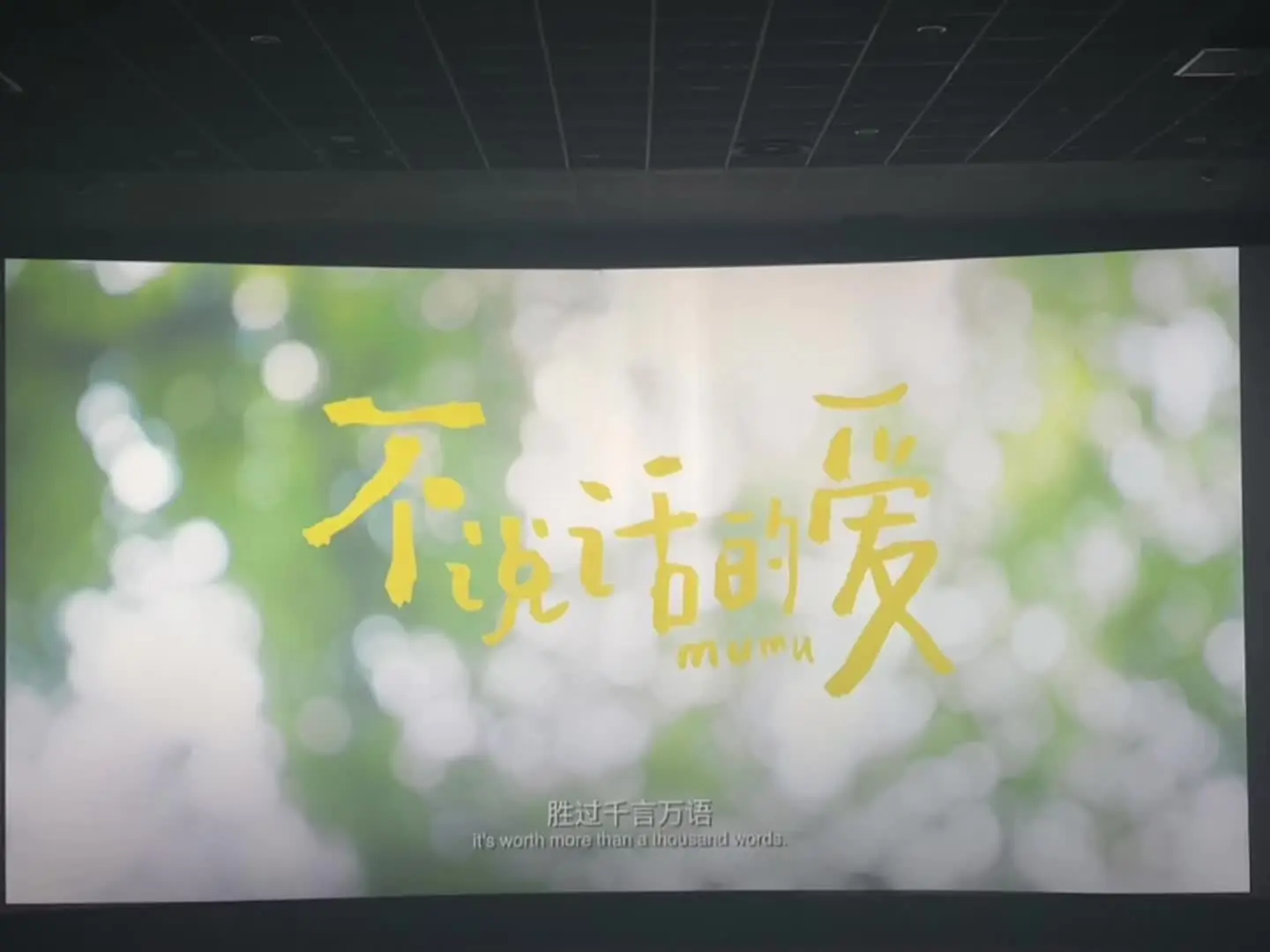 世界可以无声 但他们永远有爱