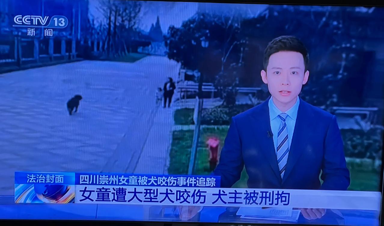 央视法制在线播报崇州养狗伤人事件。嘉宾分析了这起狗伤人事件的法律责任，狗主有不可