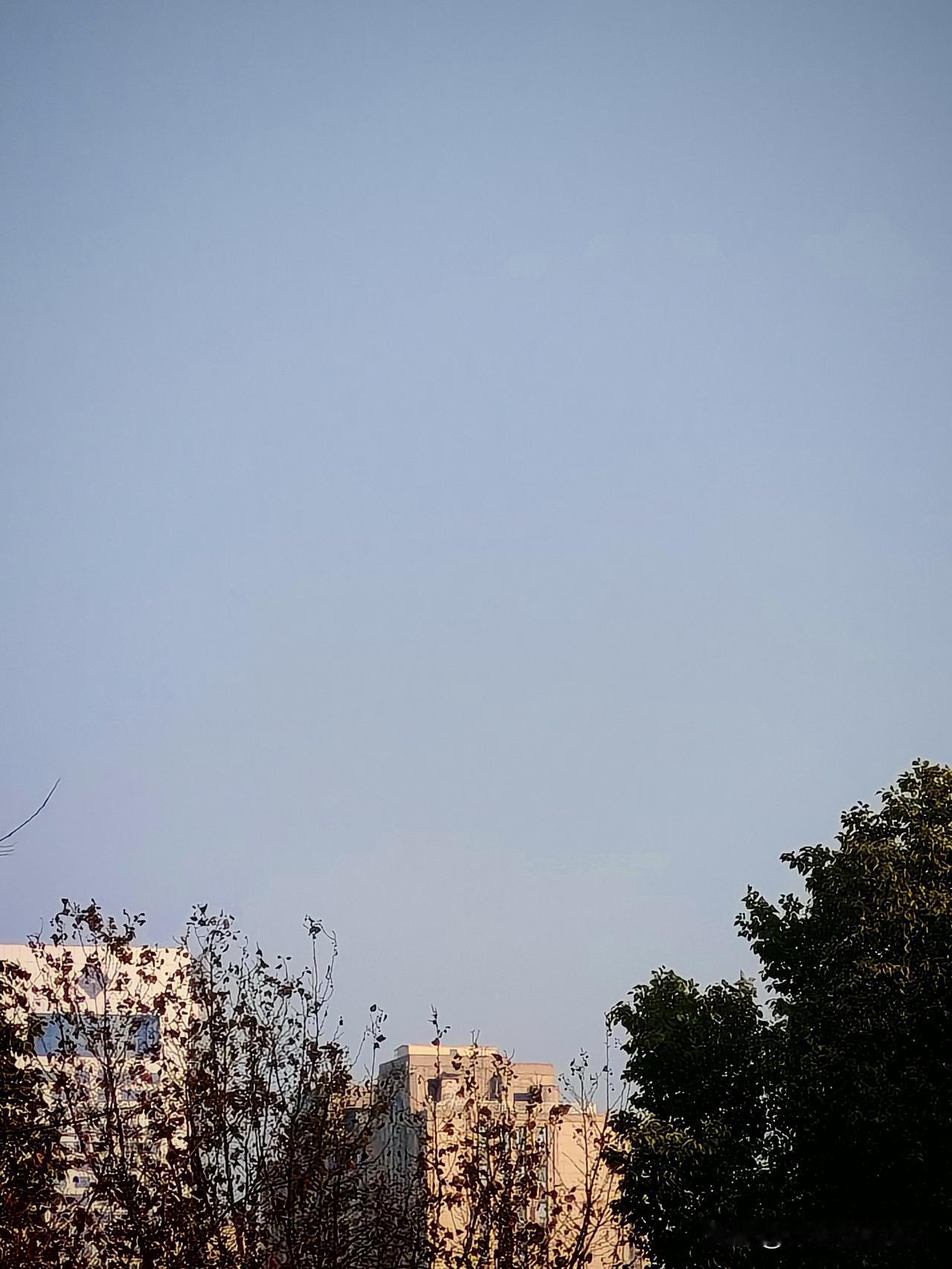 养儿不一定防老，闺蜜养老公，才叫真的赚翻了
 
听身边人总说养儿防老，我现在越来