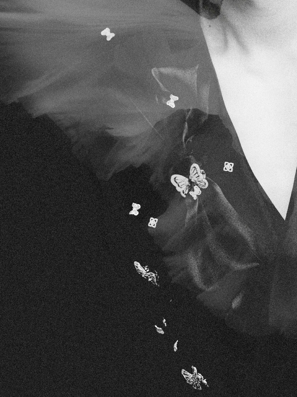 好多小蝴蝶😣把蝴蝶耳钉当成衣服上的装饰品，天才🥹 