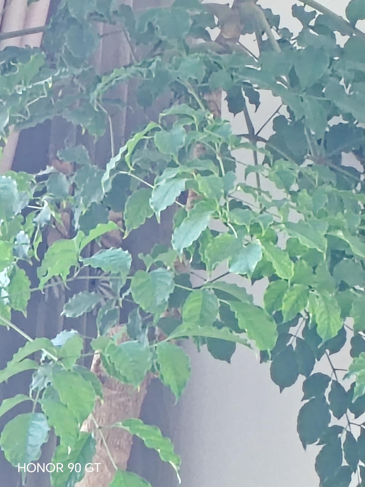 春天花会开，
快乐每一天。