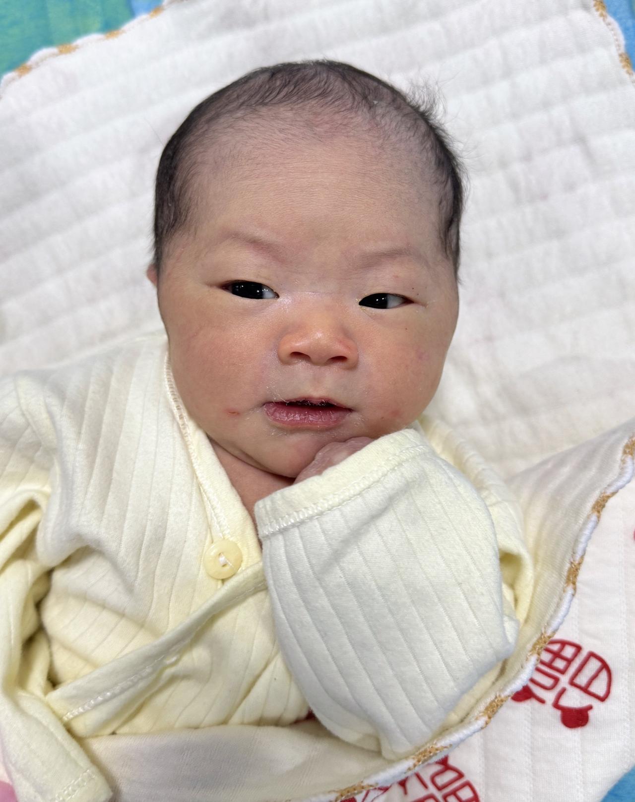 那一天 那一刻 那个场景 你出现在我生命 新生儿 人类幼崽