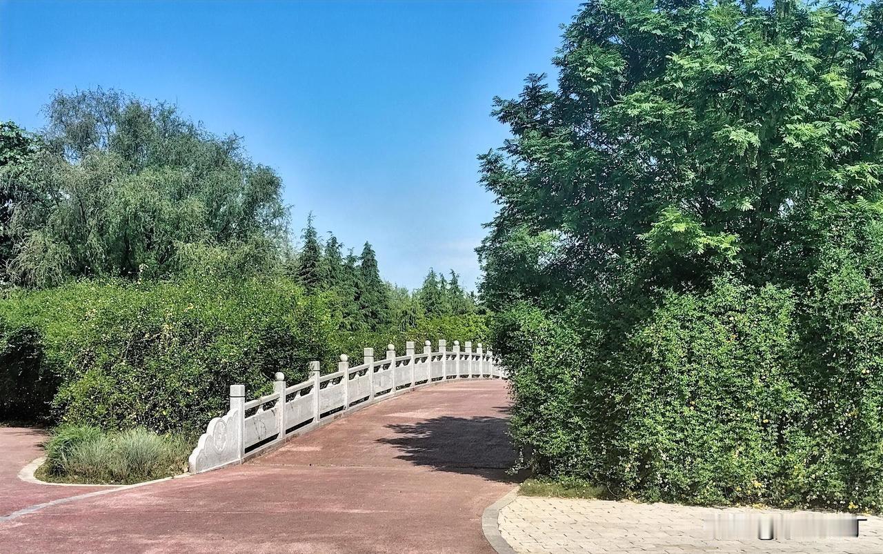 峡谷深函似青林。