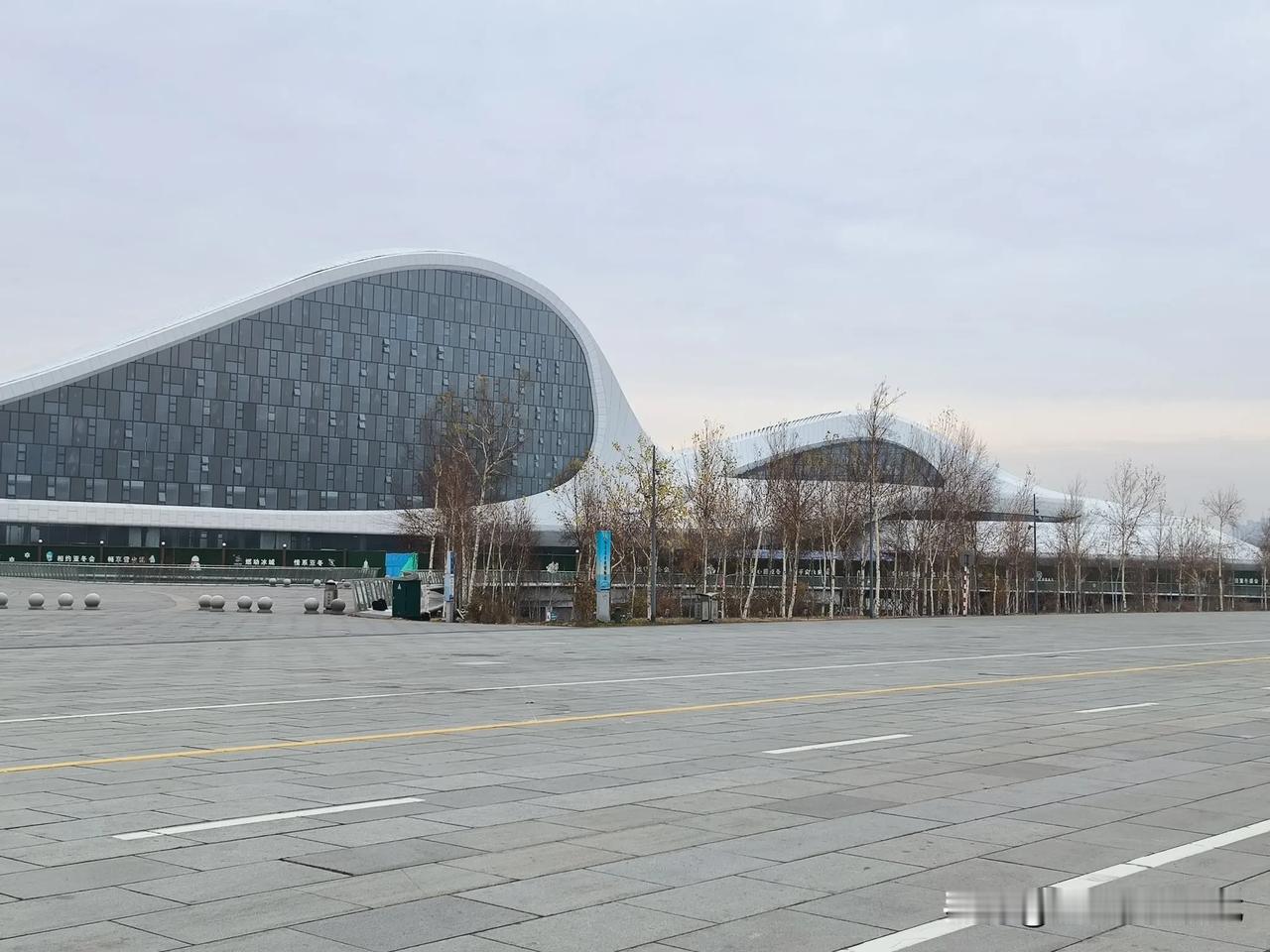 今天跟老公去江北徒步，满目都是秋

树叶黄了，芦苇荡荷叶都黄了

水里有野鸭子，