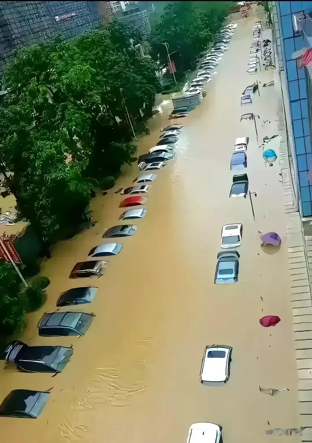 这么多车被水泡了，损失可大了，谁能赔得起？