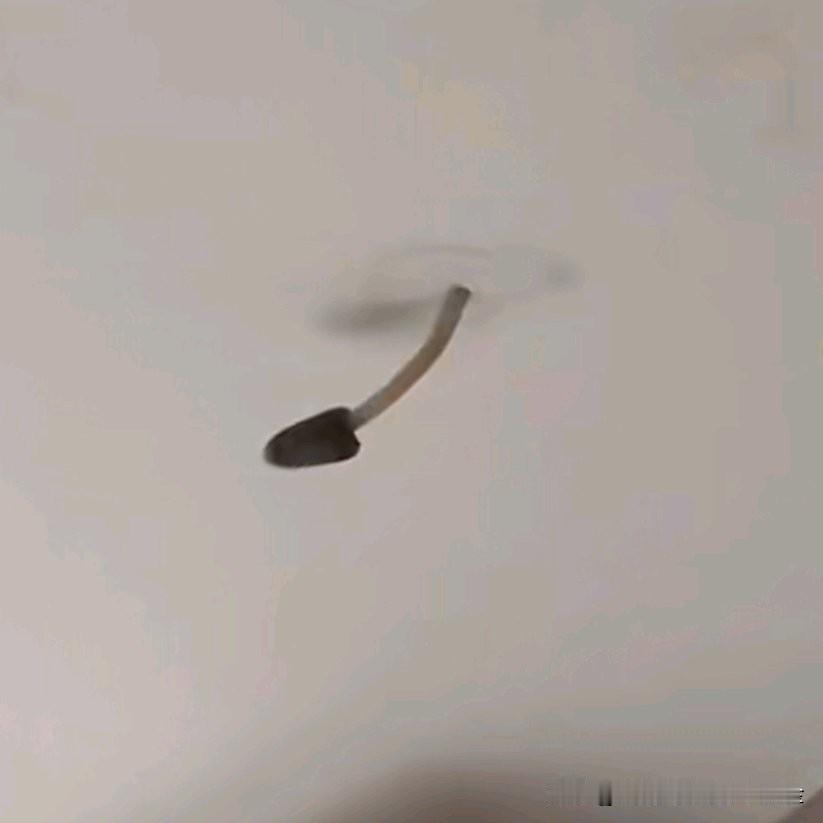 近日，重庆一位住户家中发生了一件令人惊奇的事。受连日暴雨影响，她家卫生间天花板一