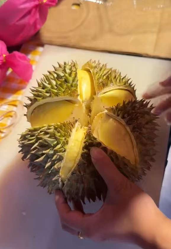 世界上最完美的榴莲出现了没有空房没有硬芯，成熟度拿捏得刚刚好，难得开出满分榴莲，